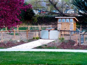 Rolland Moore Community Garden - Fort Collins